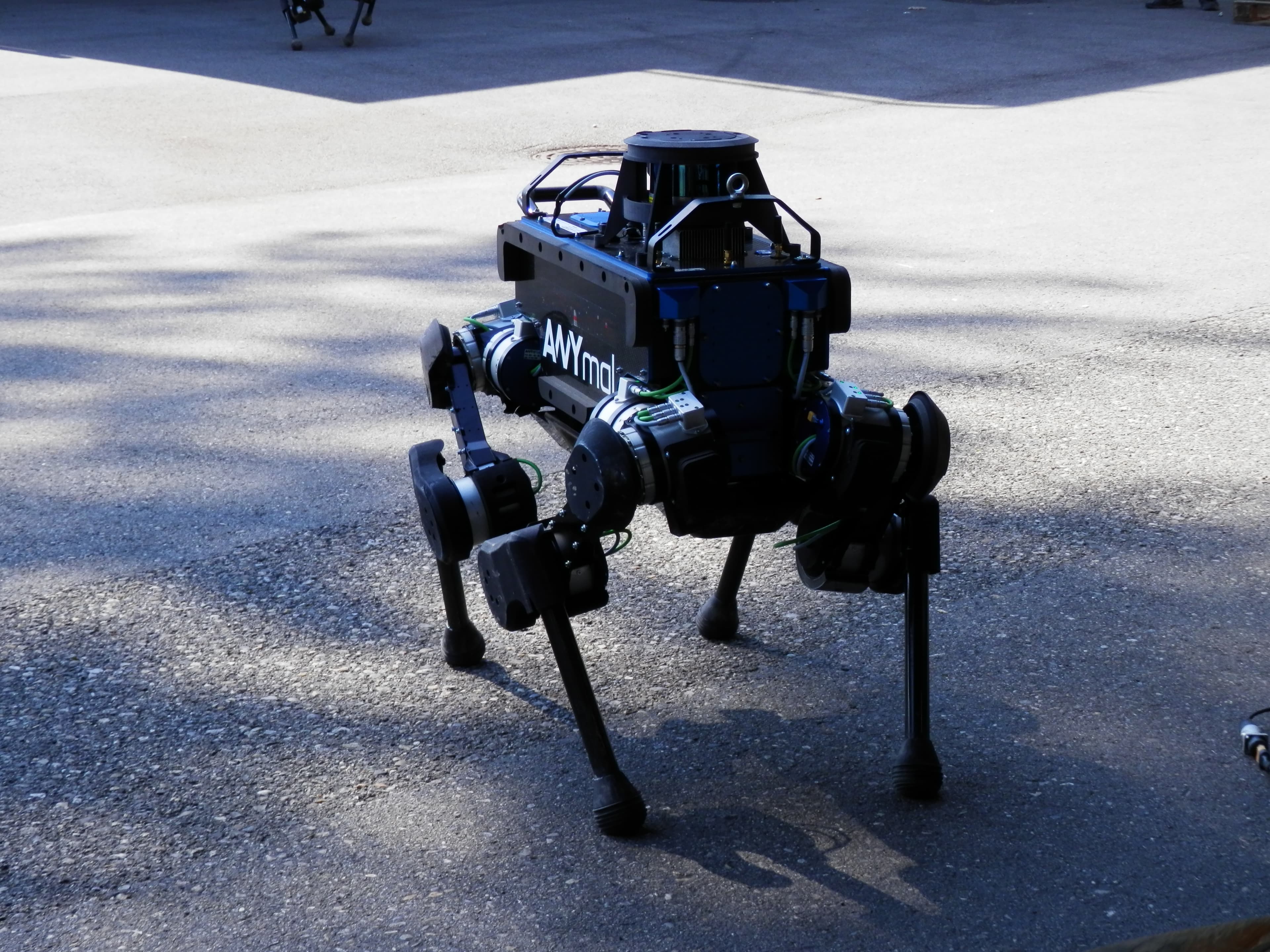 ANYmal quadruped robot during a controlled robotics demonstration