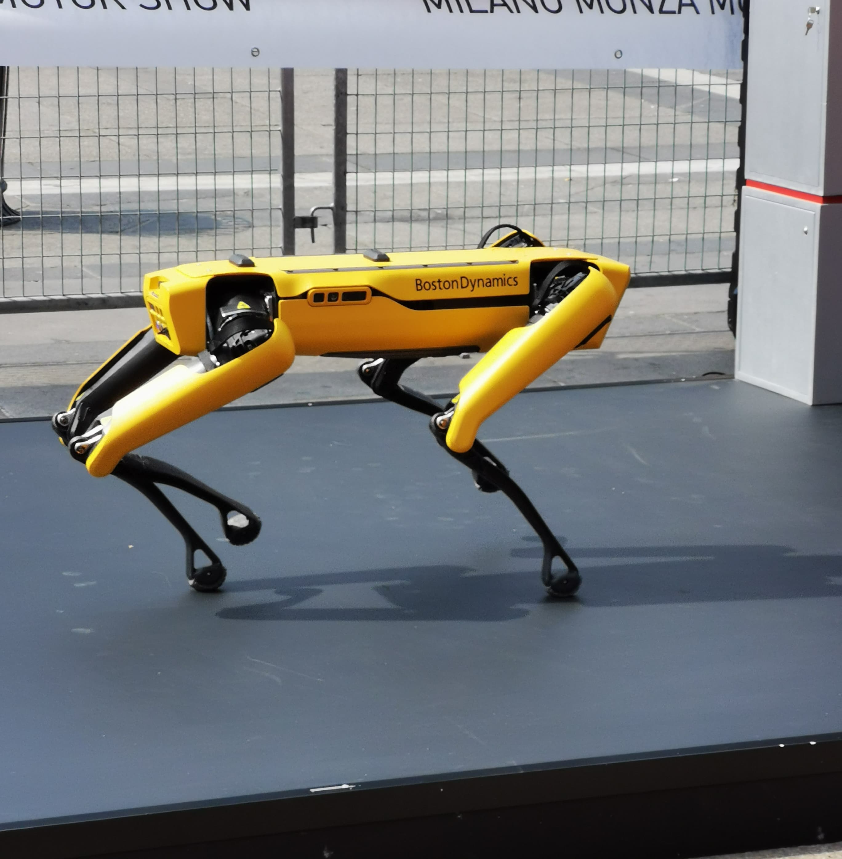 Boston Dynamics Spot quadruped robot at a public demonstration