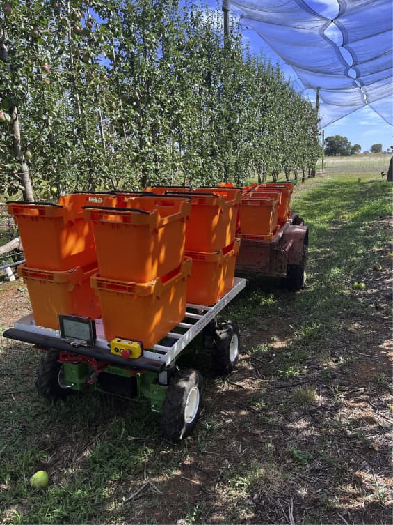 Exact Burro platform towing a trailer at Tatura SmartFarm.