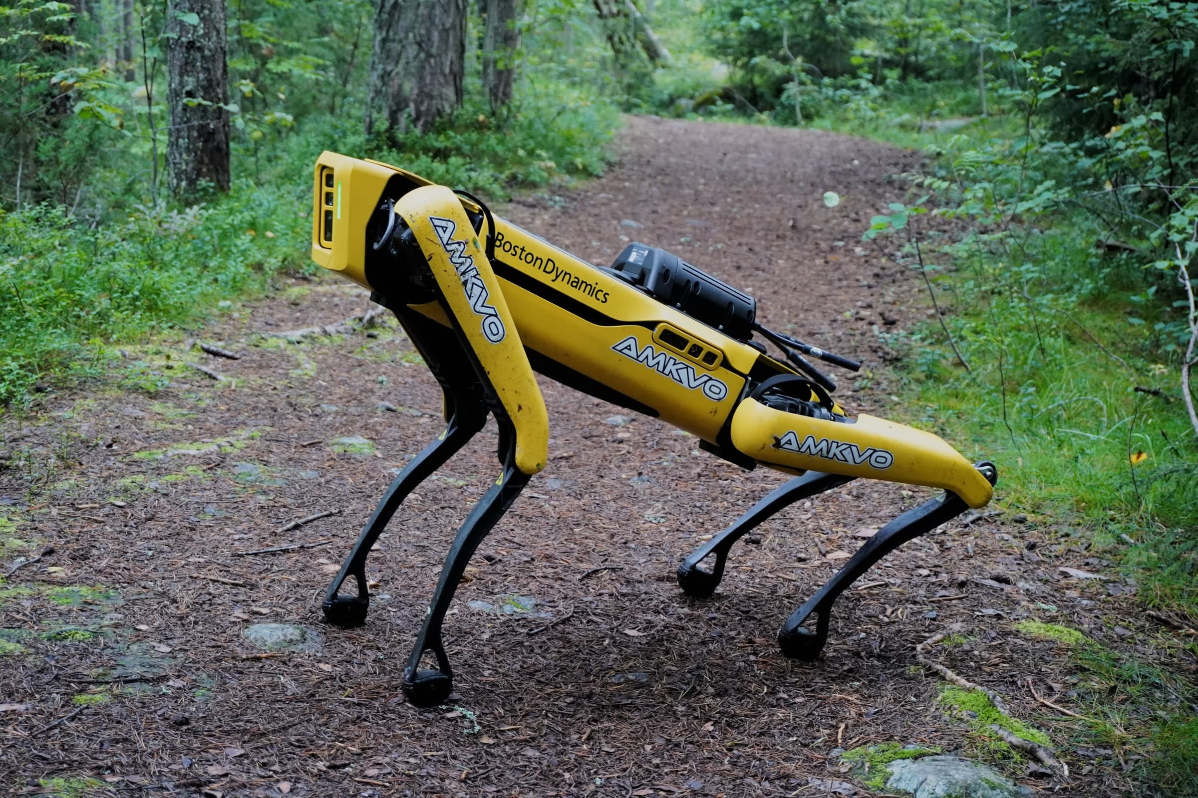 Boston Dynamics Spot quadruped robot